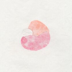 Cover of Where Clouds Are Born