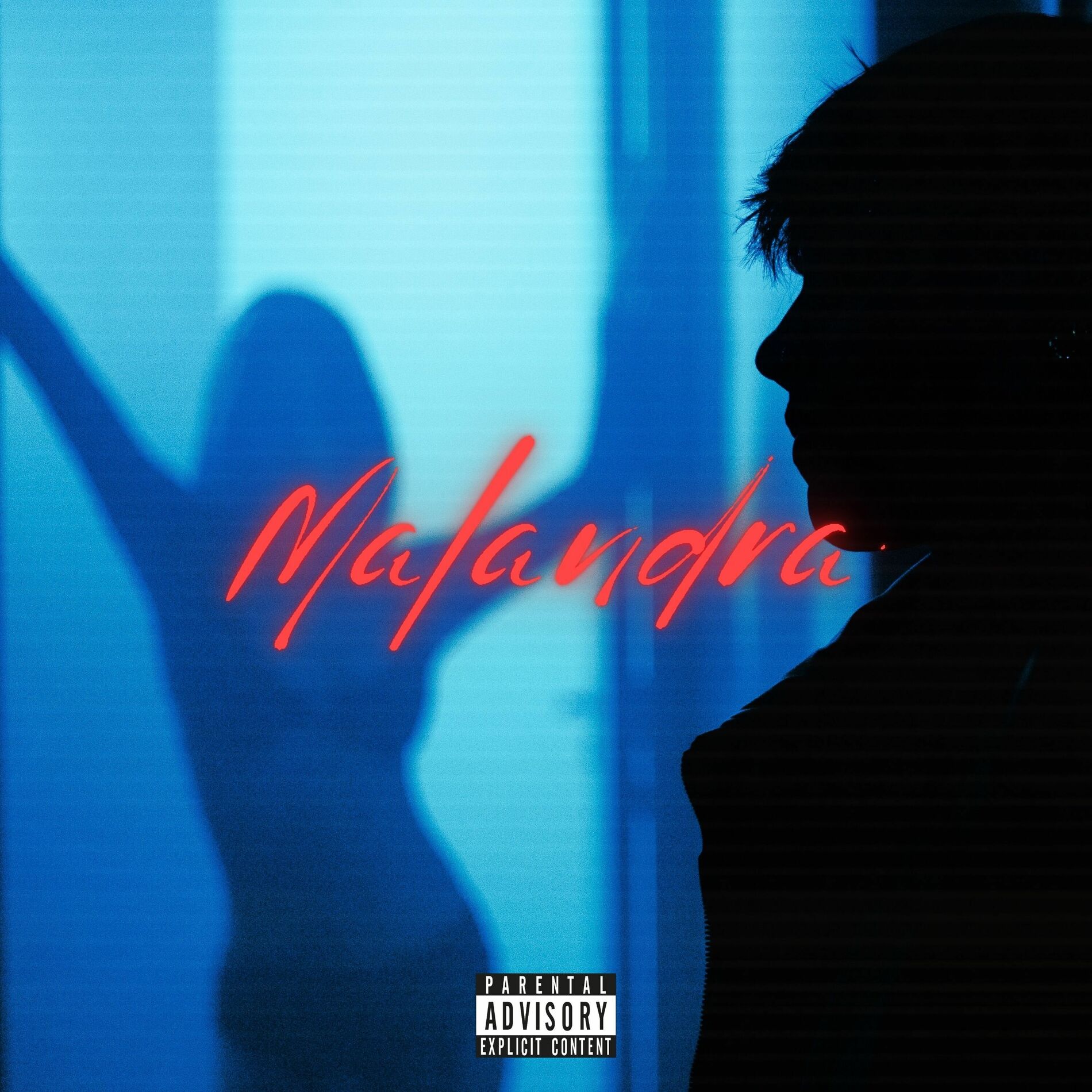 Album cover of Malandra