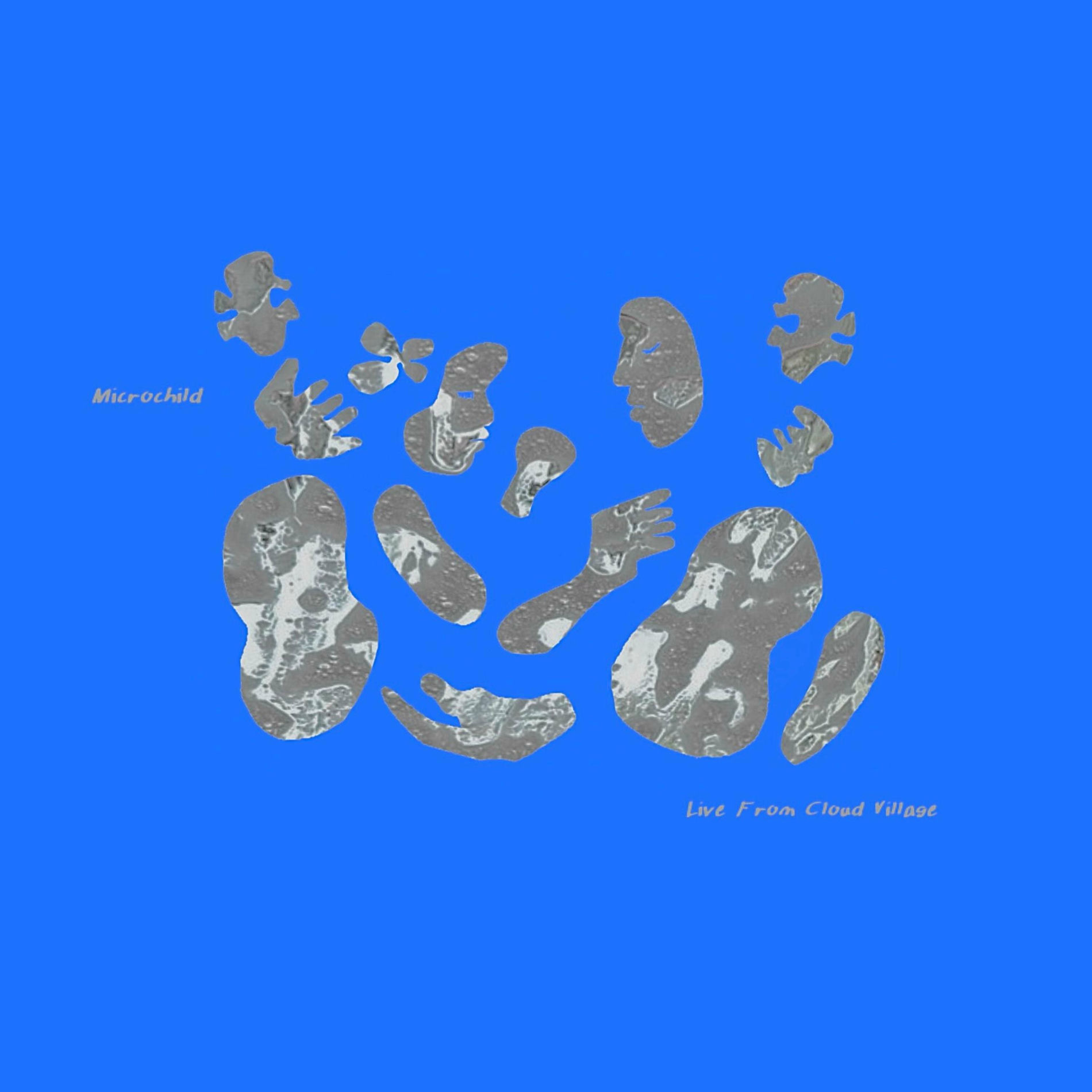 Album cover of Live From Cloud Village