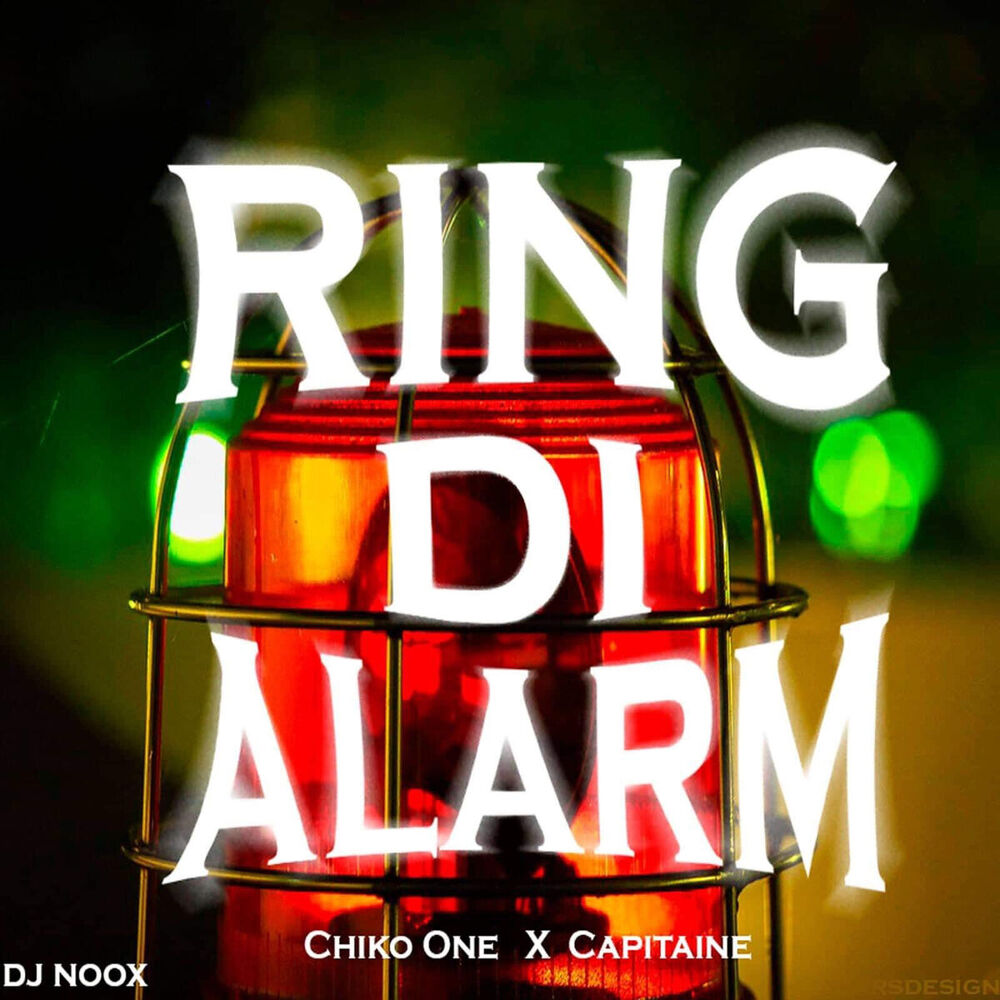 Picture of Ring di Alarm
