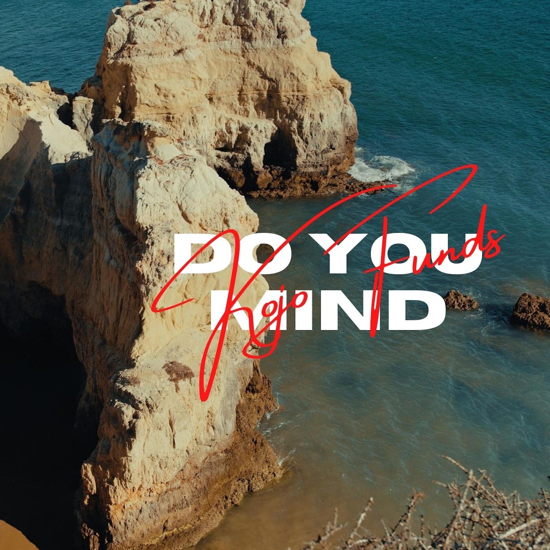 Album cover of Do You Mind
