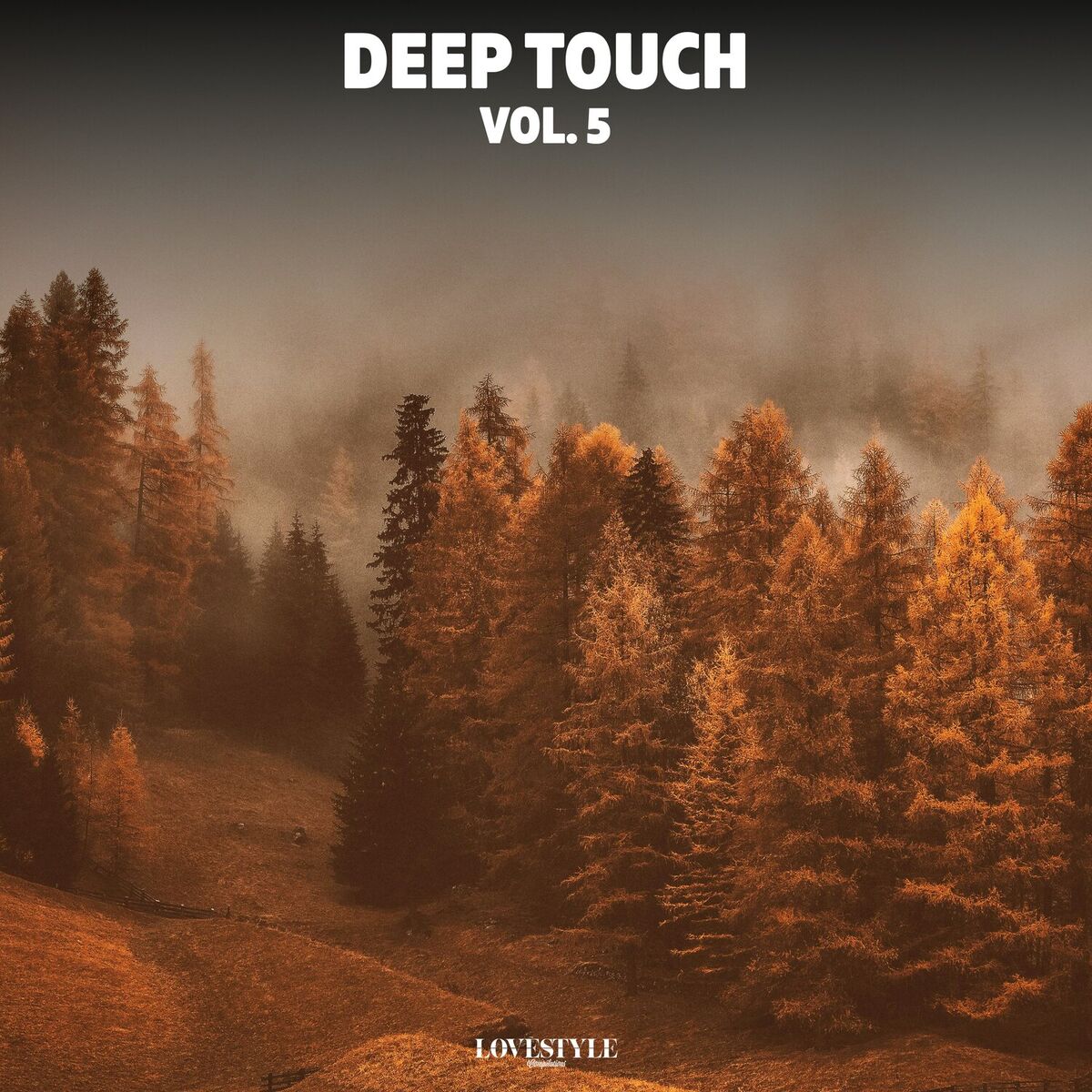 Album cover of Deep Touch, Vol. 5