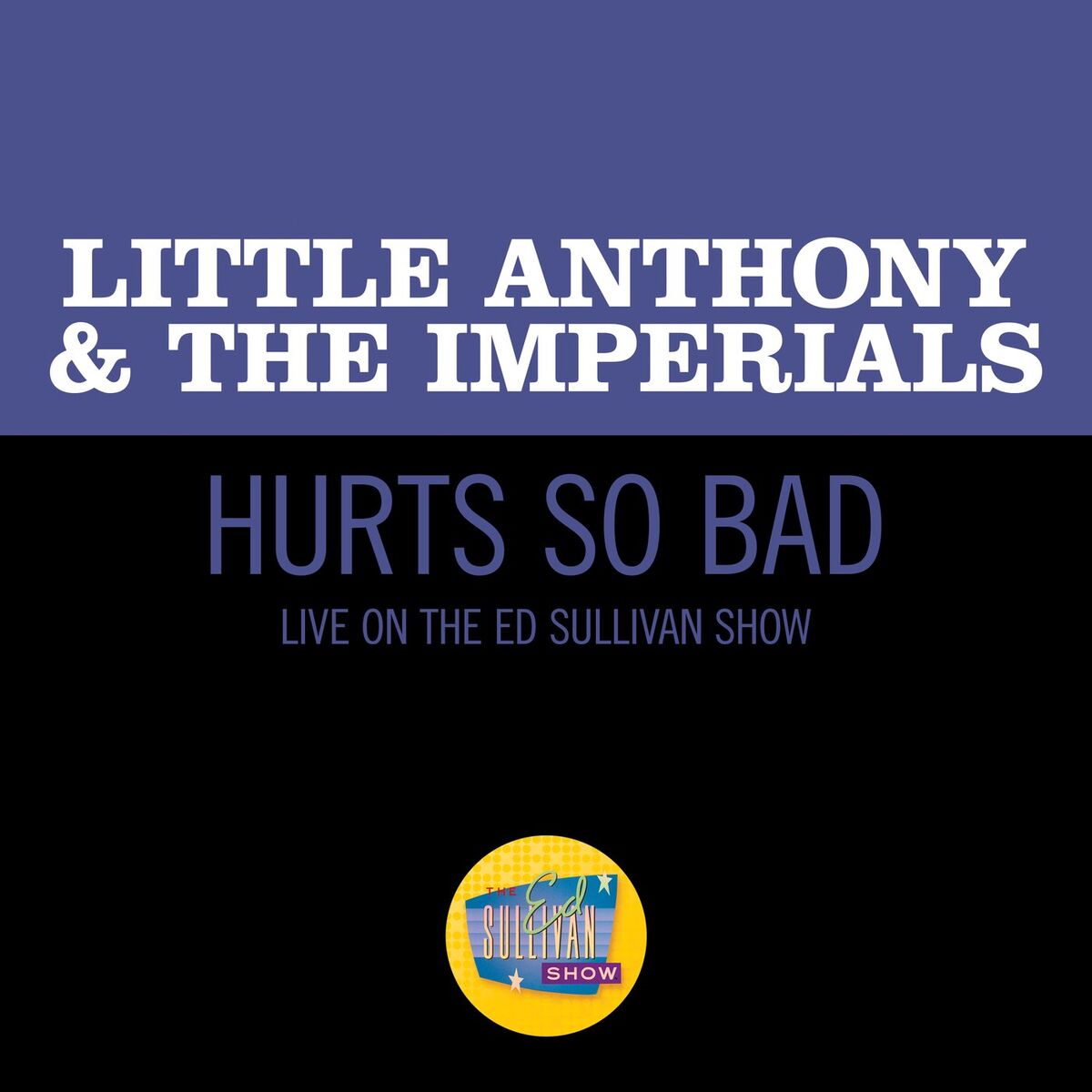 Album cover of Hurts So Bad (Live On The Ed Sullivan Show, March 28, 1965)