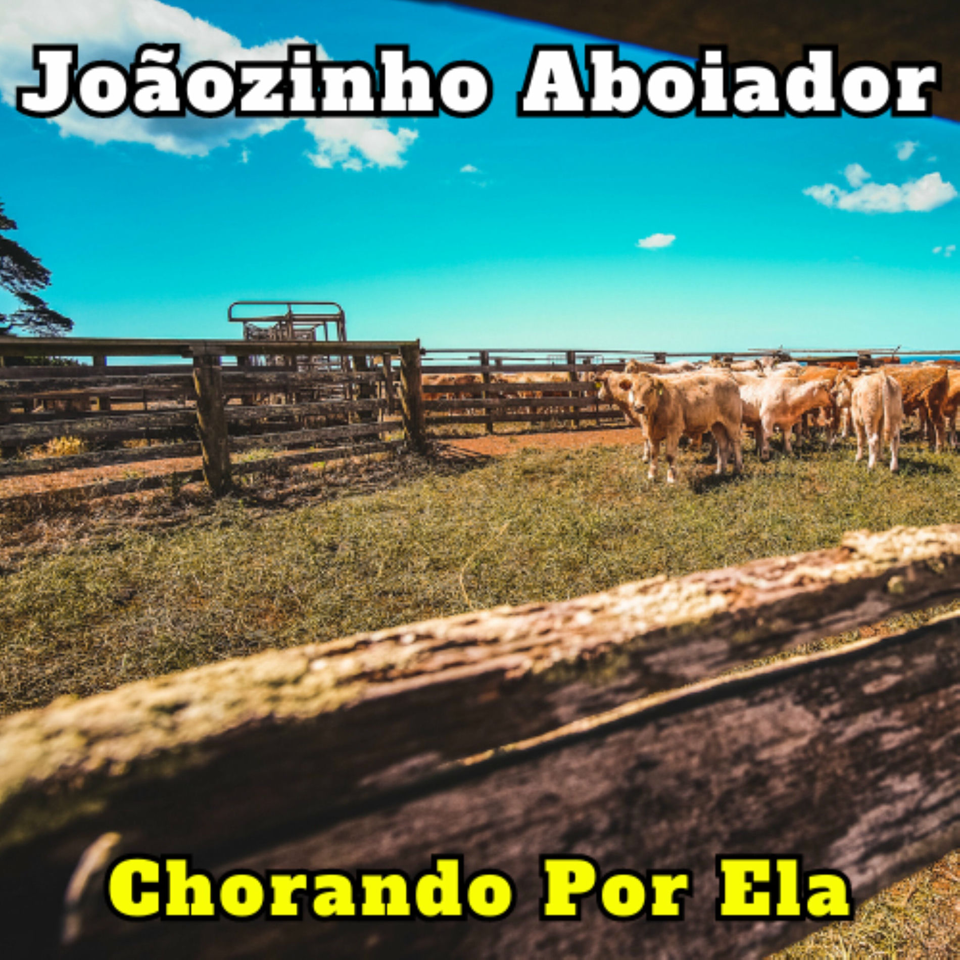 Album cover of Chorando por Ela
