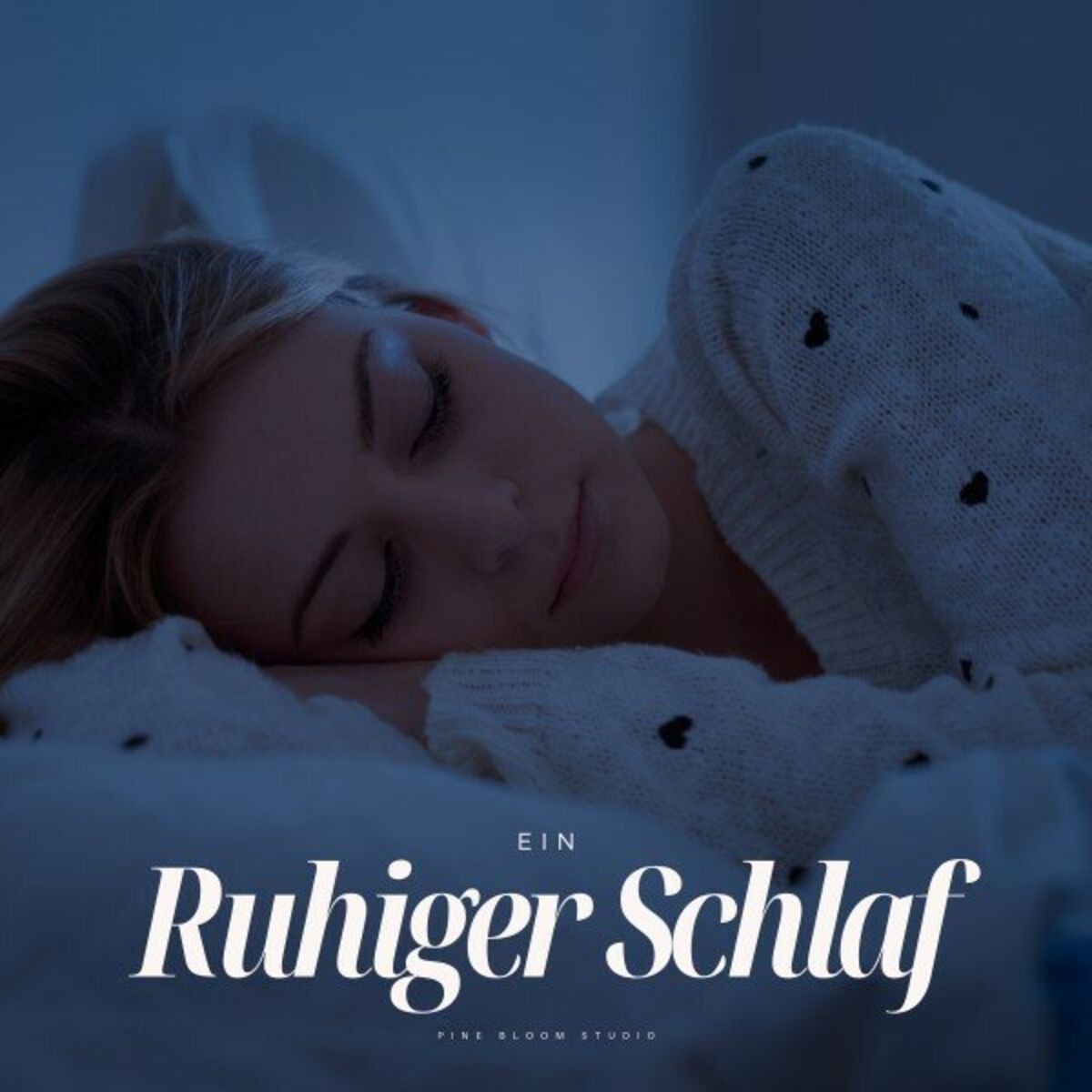 Album cover of Ein Ruhiger Schlaf