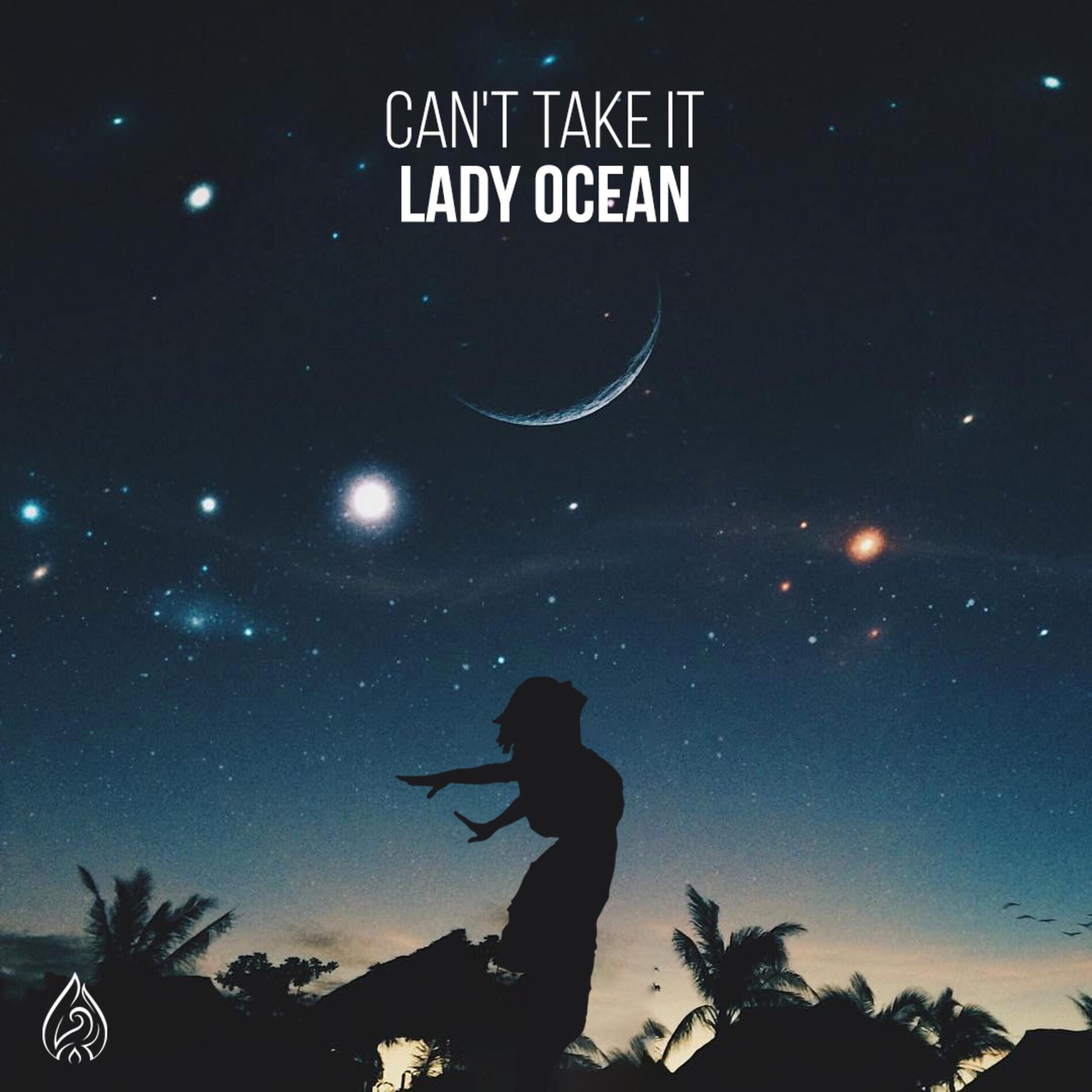 Album cover of Can't Take It