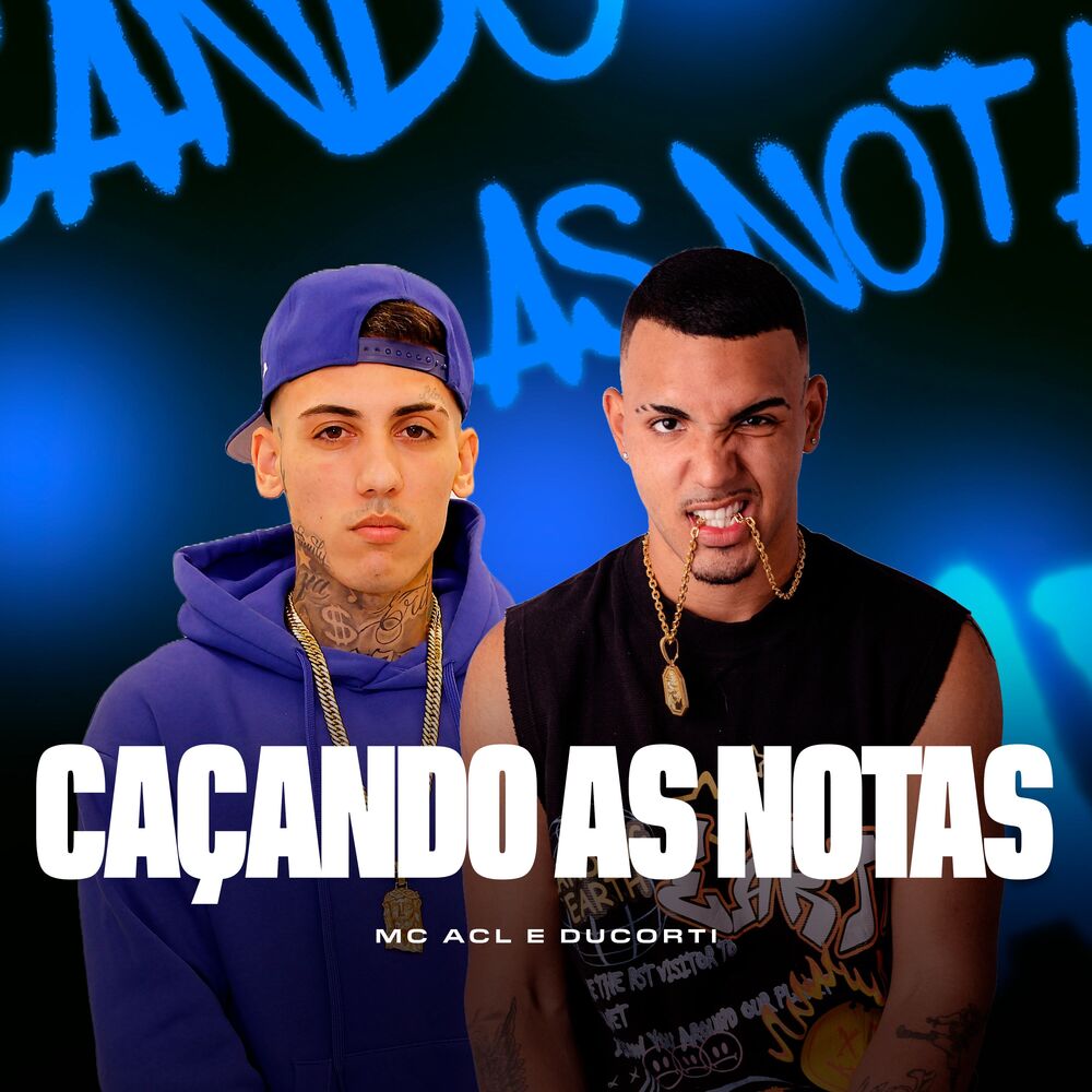 Picture of Caçando as Notas