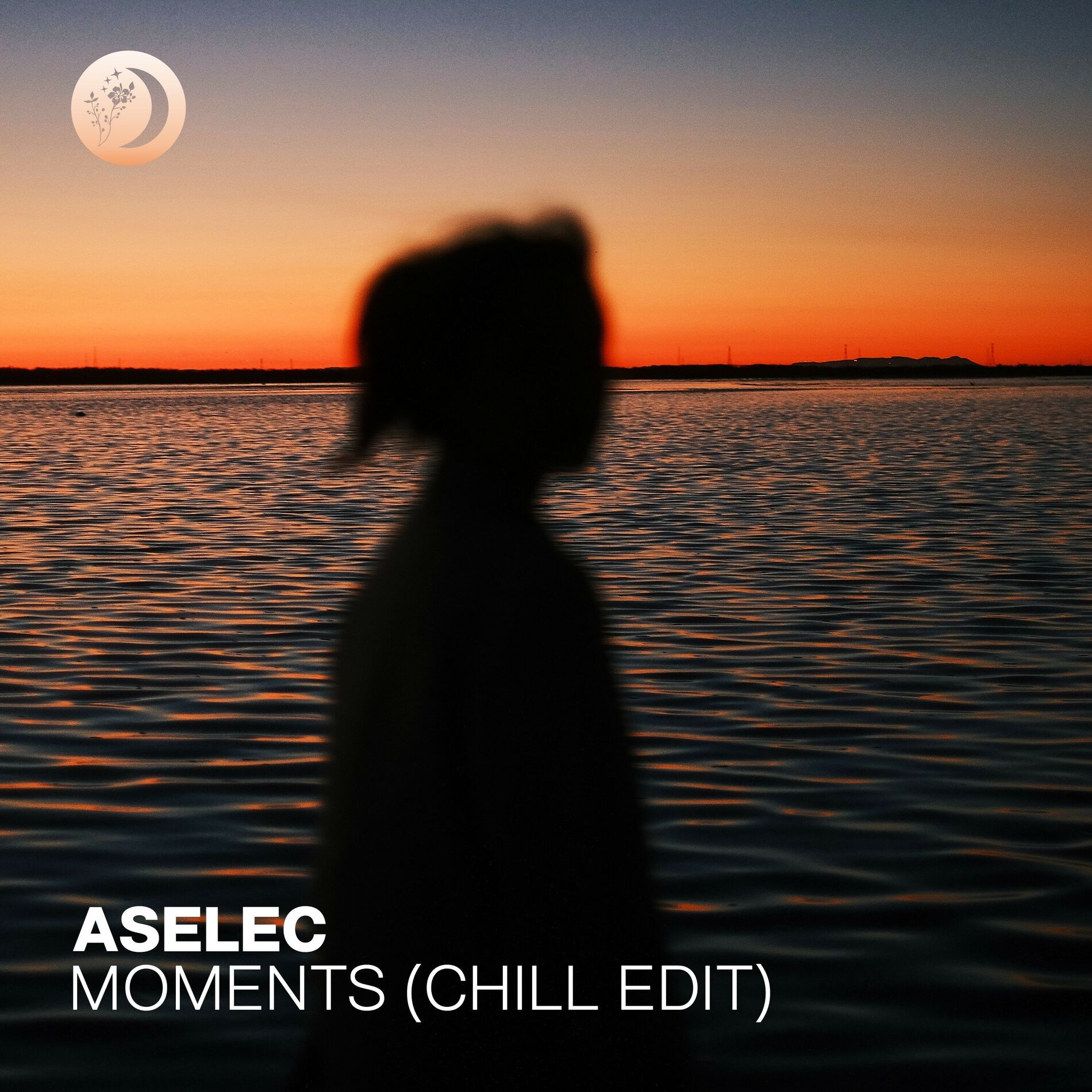 Album cover of Moments