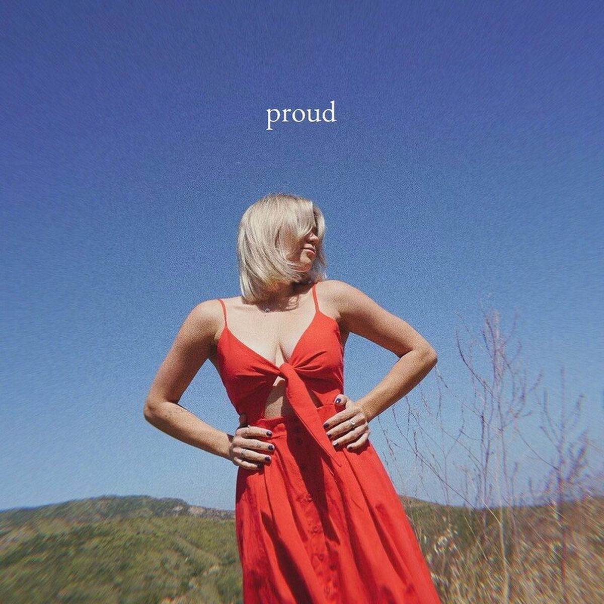 Album cover of proud
