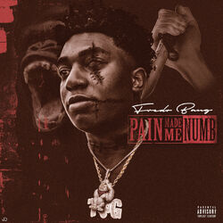 Cover of Pain Made Me Numb