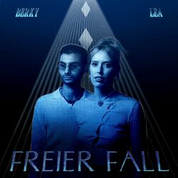 Cover of Freier Fall
