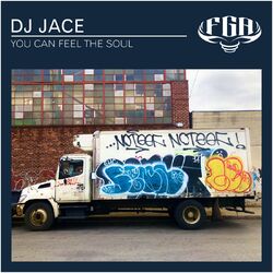 Cover of You Can Feel the Soul