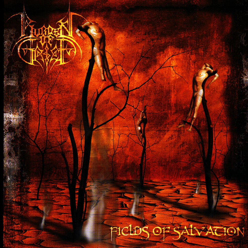 Picture of Fields Of Salvation