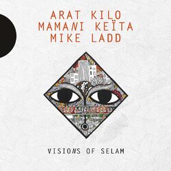 Cover of Visions of Selam