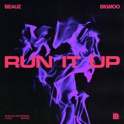 Cover of Run It Up