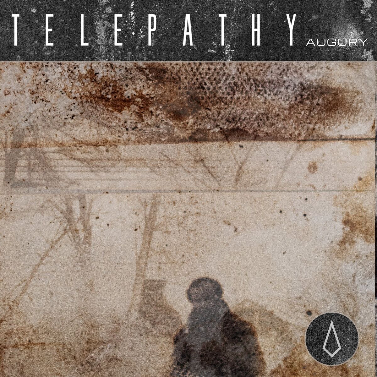 Album cover of Augury
