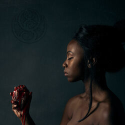 Cover of The Banished Heart