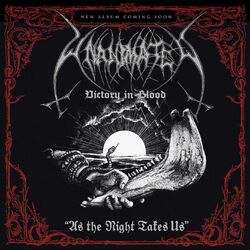 Cover of As the Night Takes Us