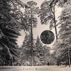 Cover of Forest Mirrors