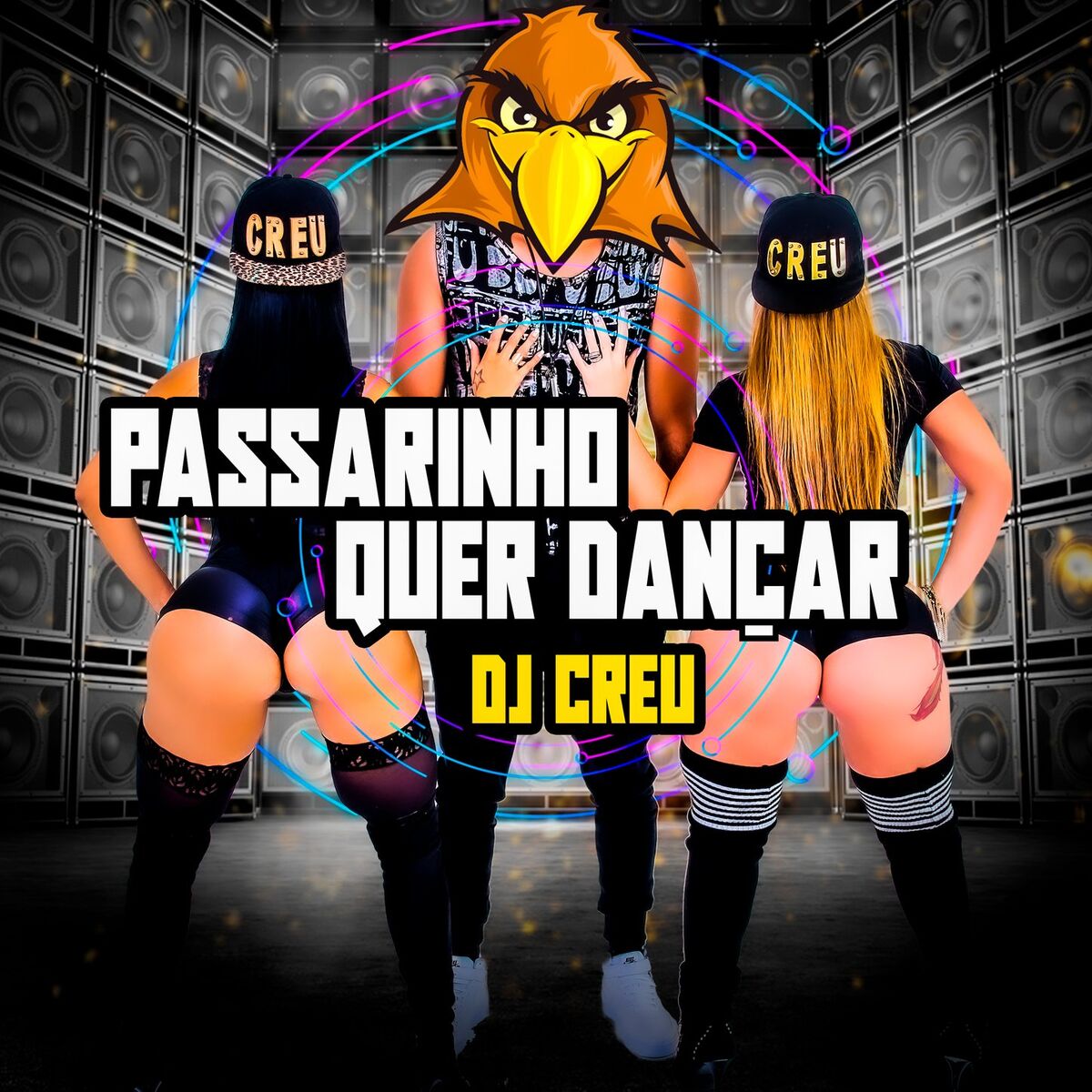 Album cover of Passarinho Quer Dançar