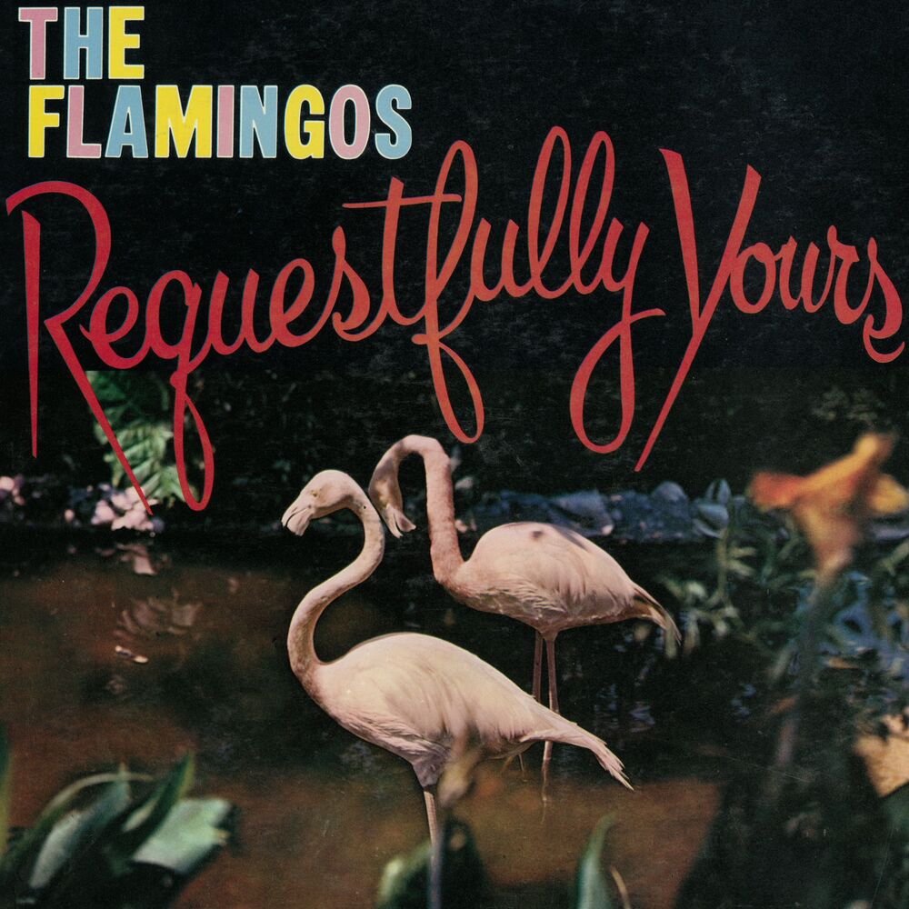 Picture of Requestfully Yours
