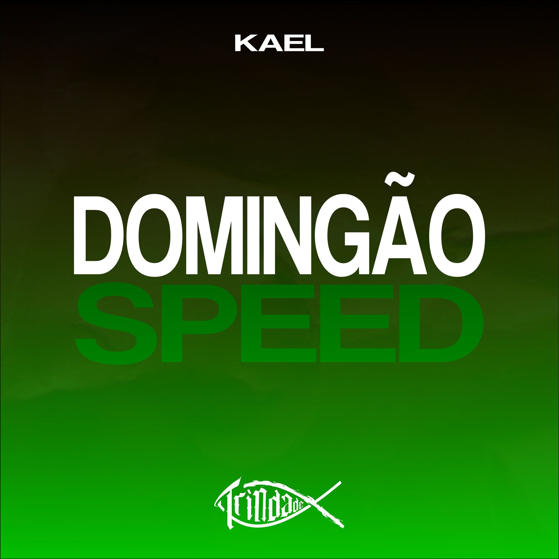 Album cover of Domingão