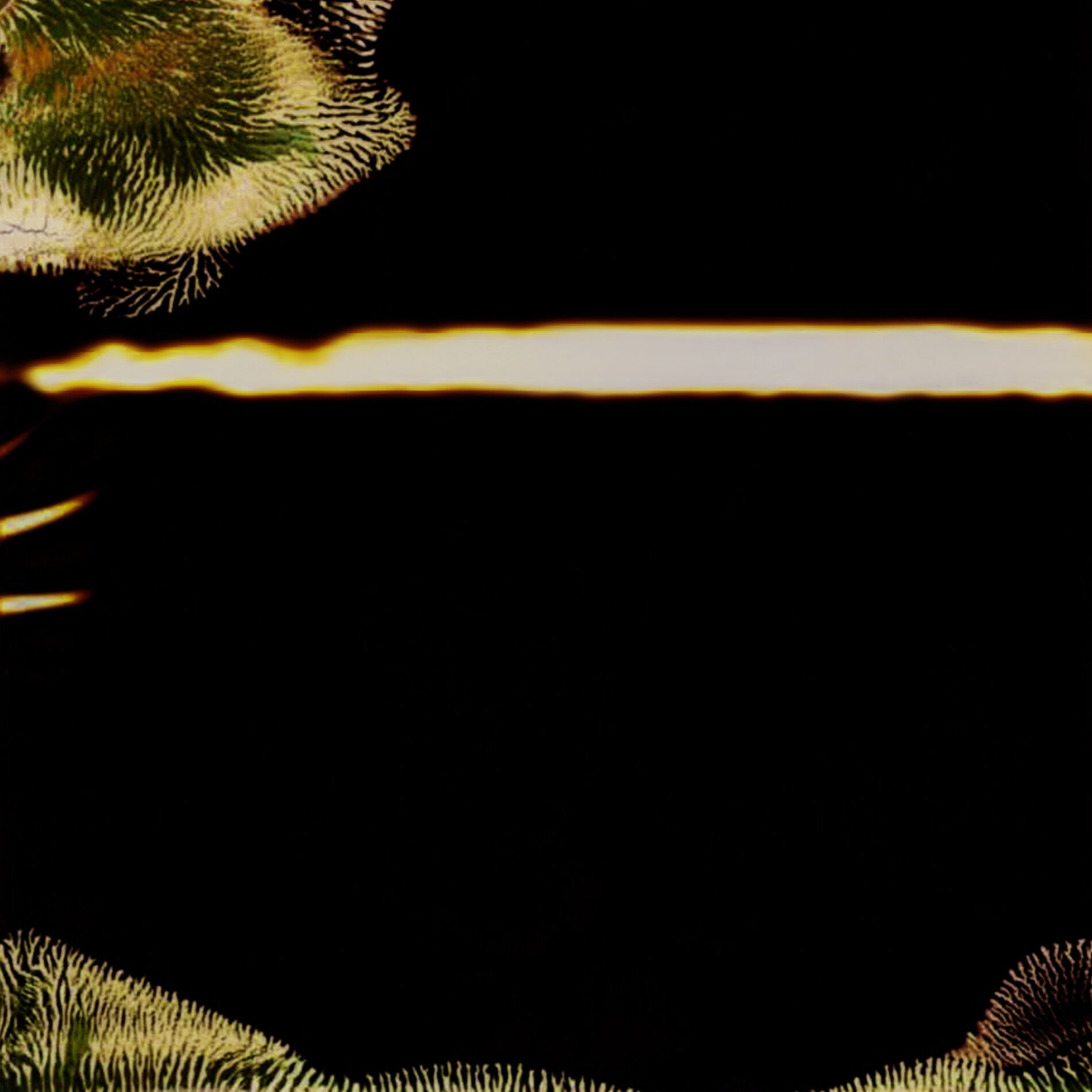 Album cover of Afterglow