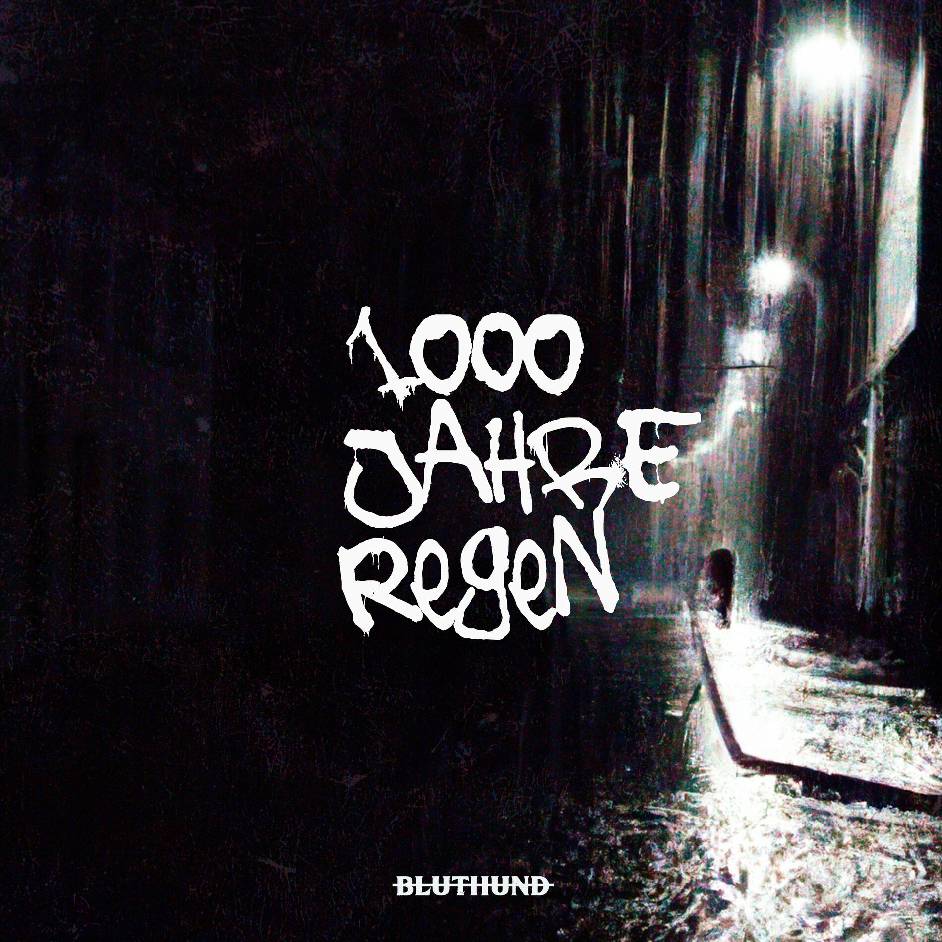 Album cover of 1000 Jahre Regen