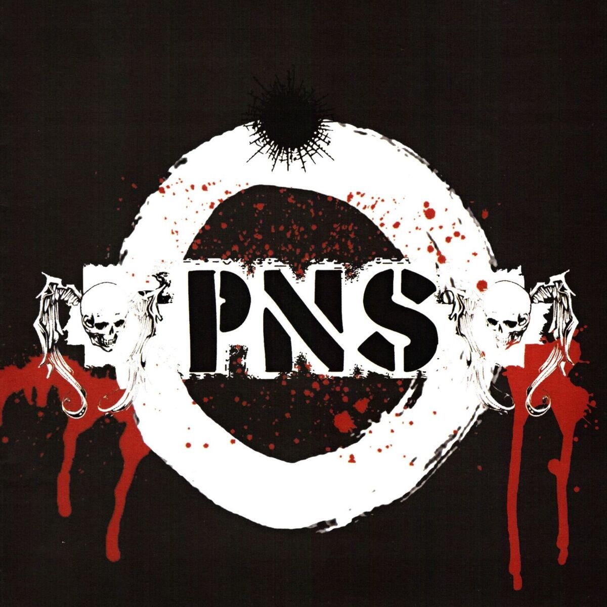 Album cover of PNS