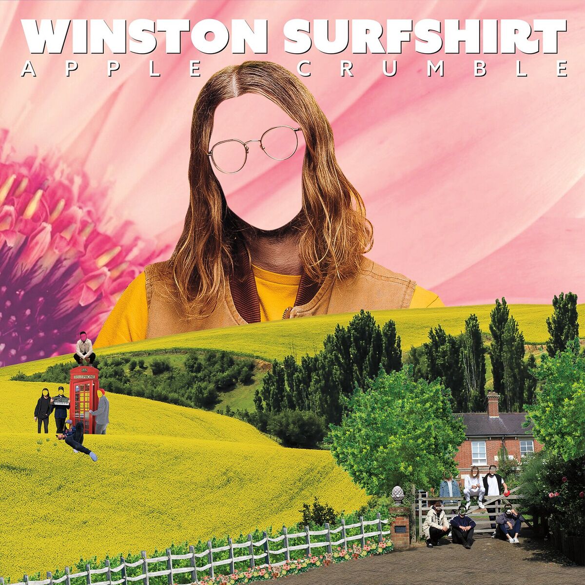 Album cover of For The Record