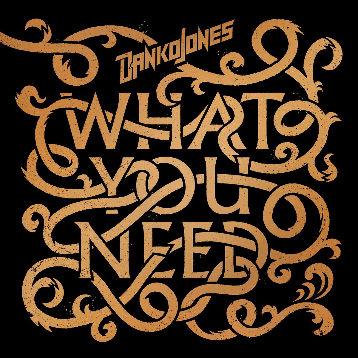 Album cover of What You Need