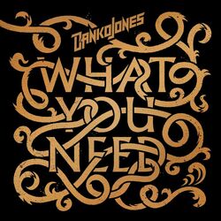 Cover of What You Need