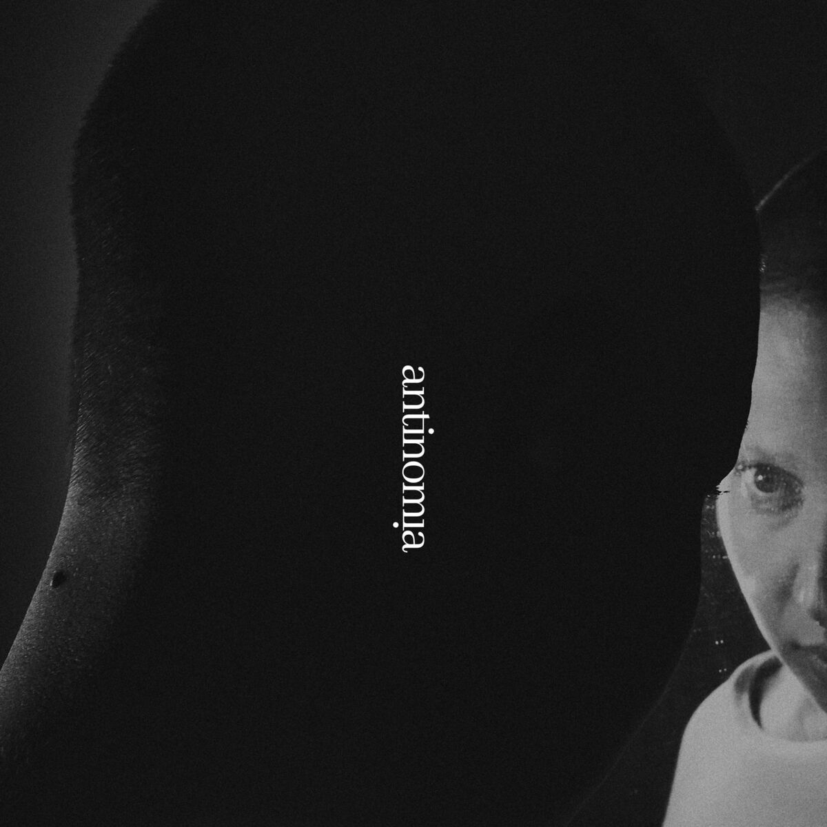 Album cover of antinomia