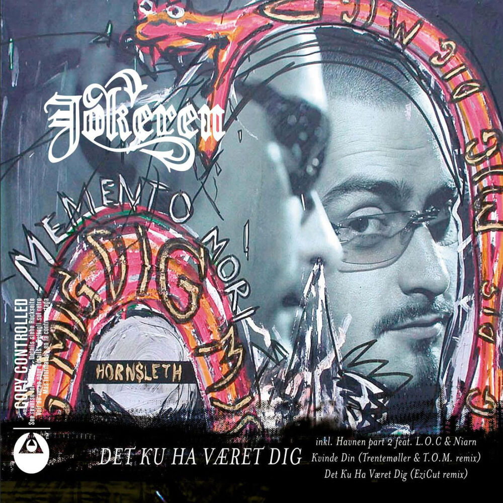 Picture of Det Ku Ha Været Dig