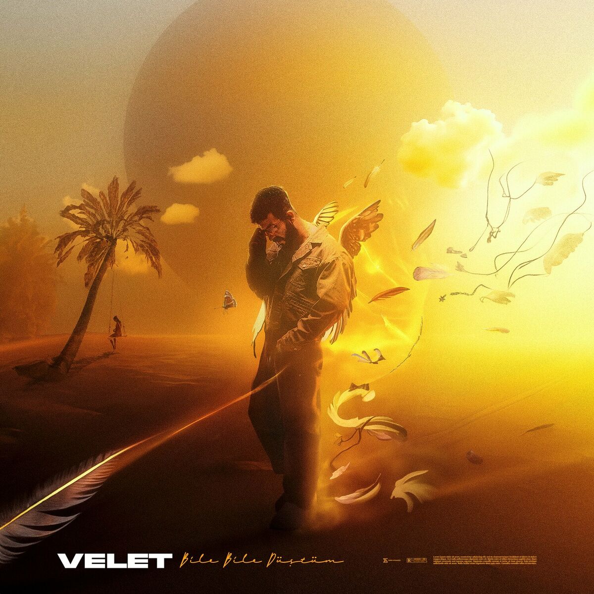 Album cover of Bile Bile Düştüm