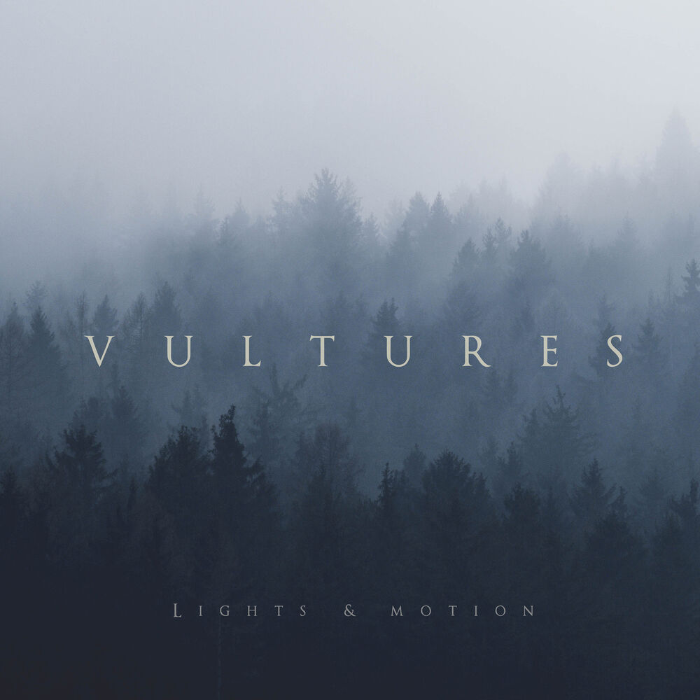 Picture of Vultures