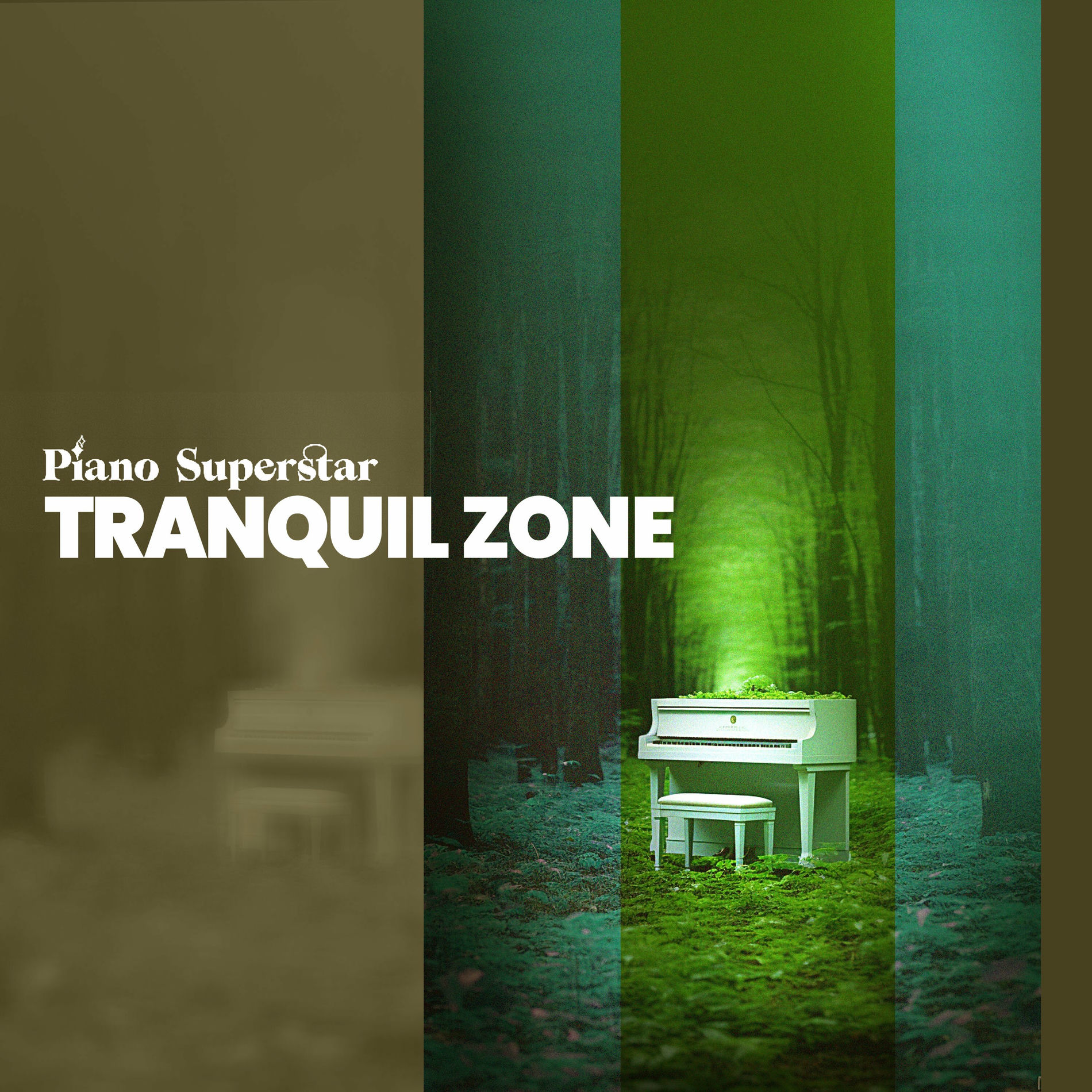 Album cover of Tranquil Zone