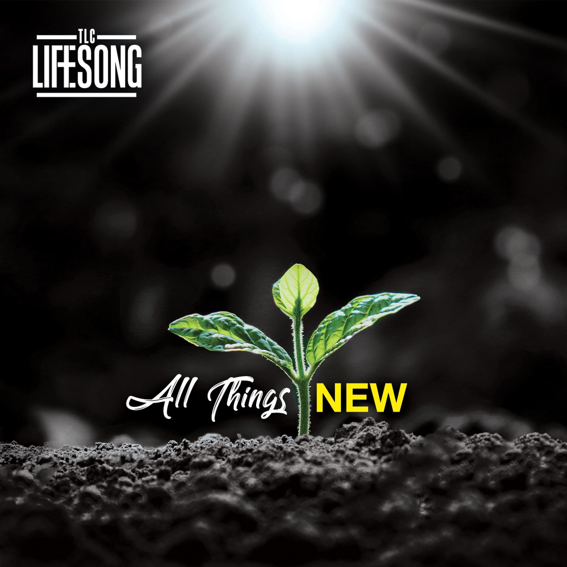 Album cover of All Things New