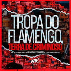Cover of Tropa do Flamengo, Terra de Criminoso