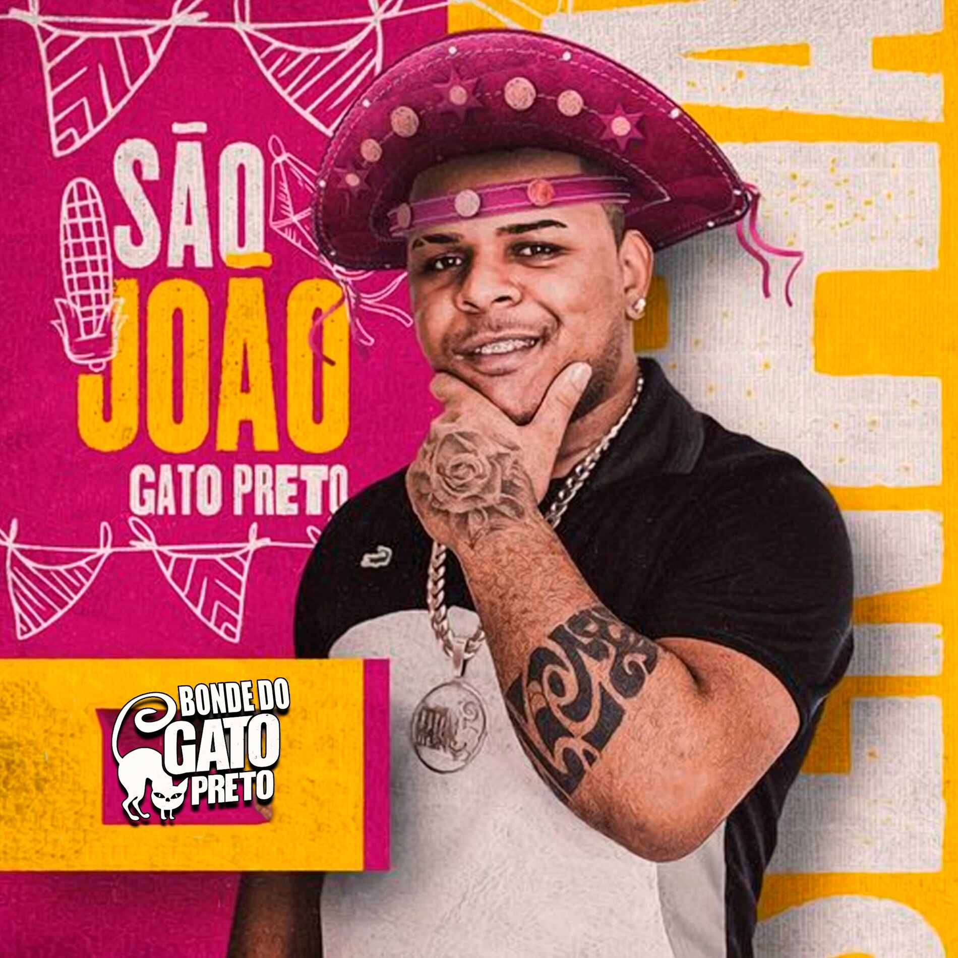 Album cover of São João do Gato Preto