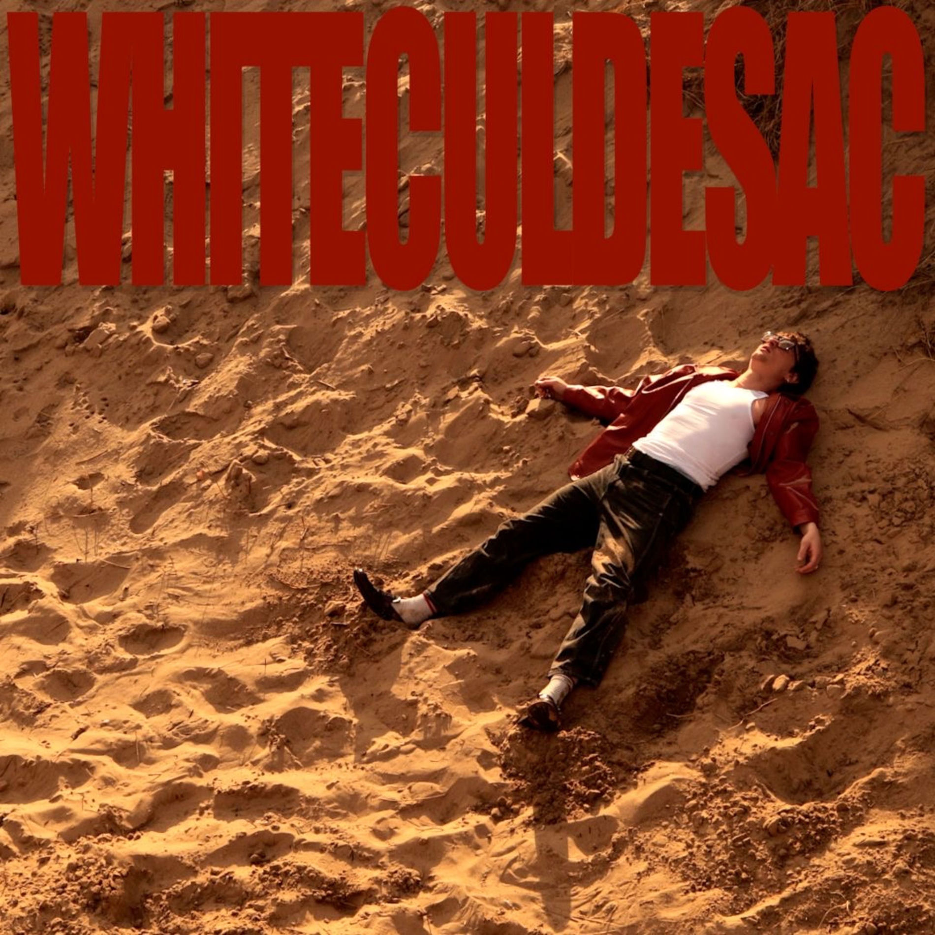 Album cover of White Culdesac