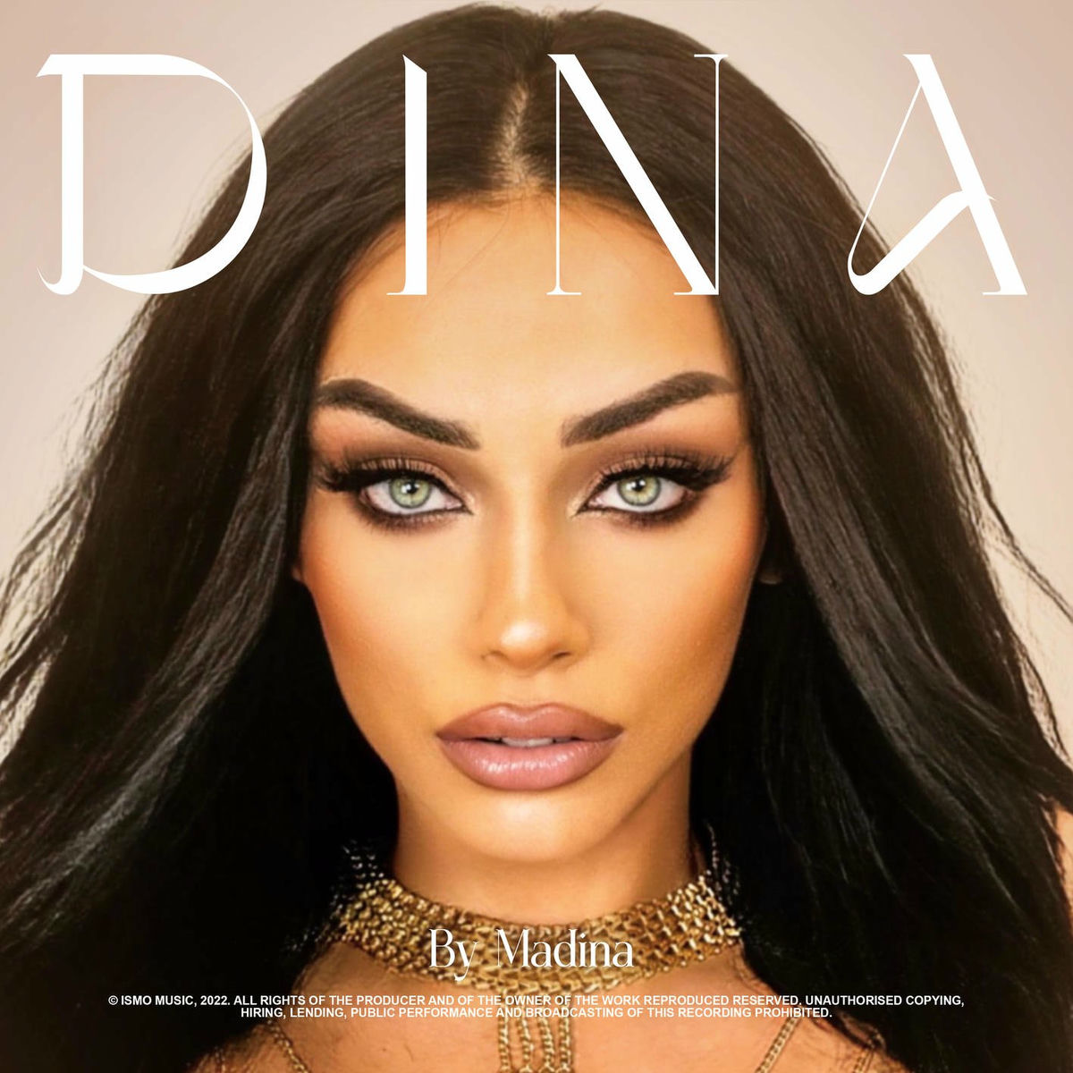Album cover of DINA