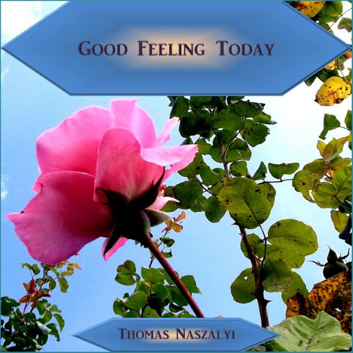 Album cover of Good Feeling Today