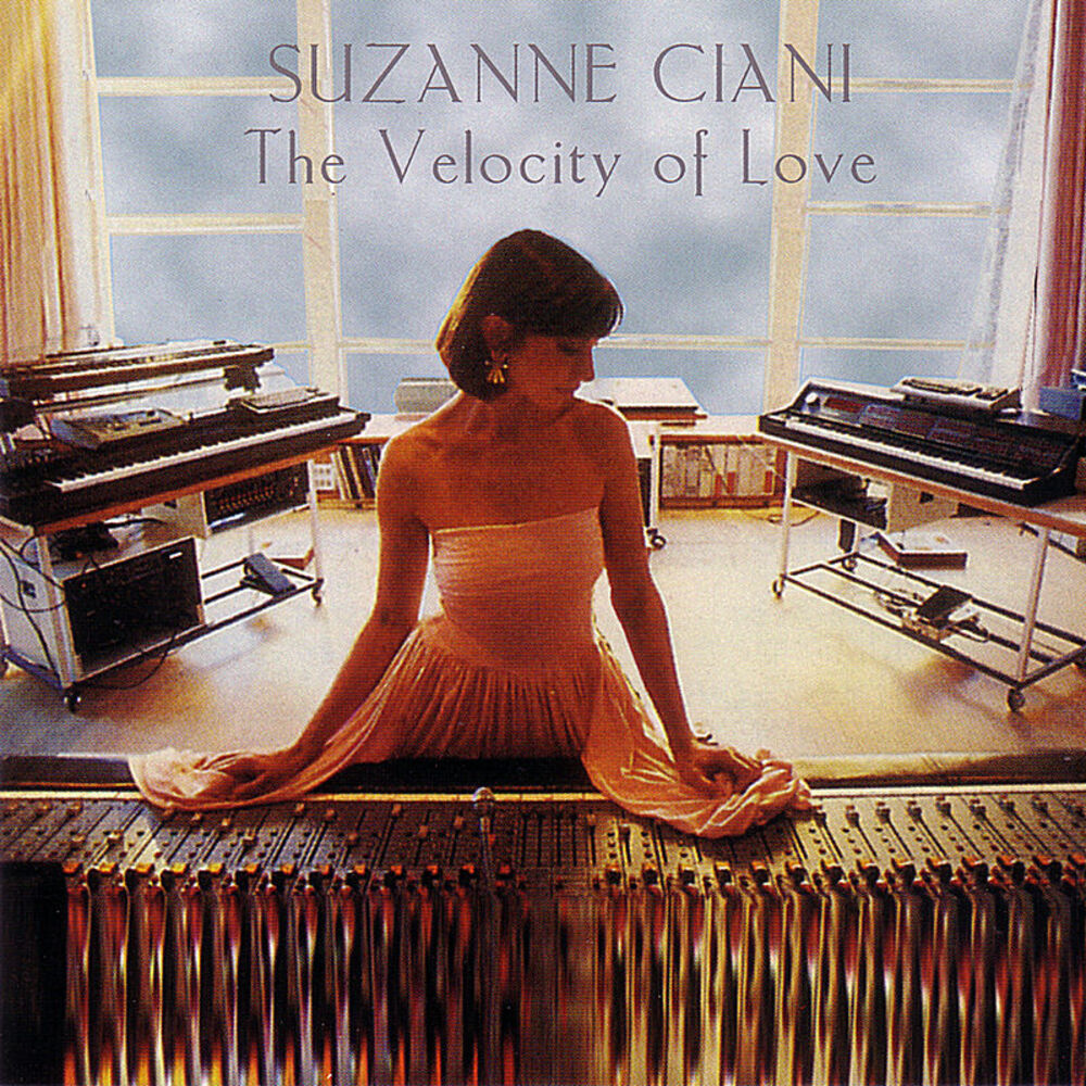 Picture of The Velocity of Love