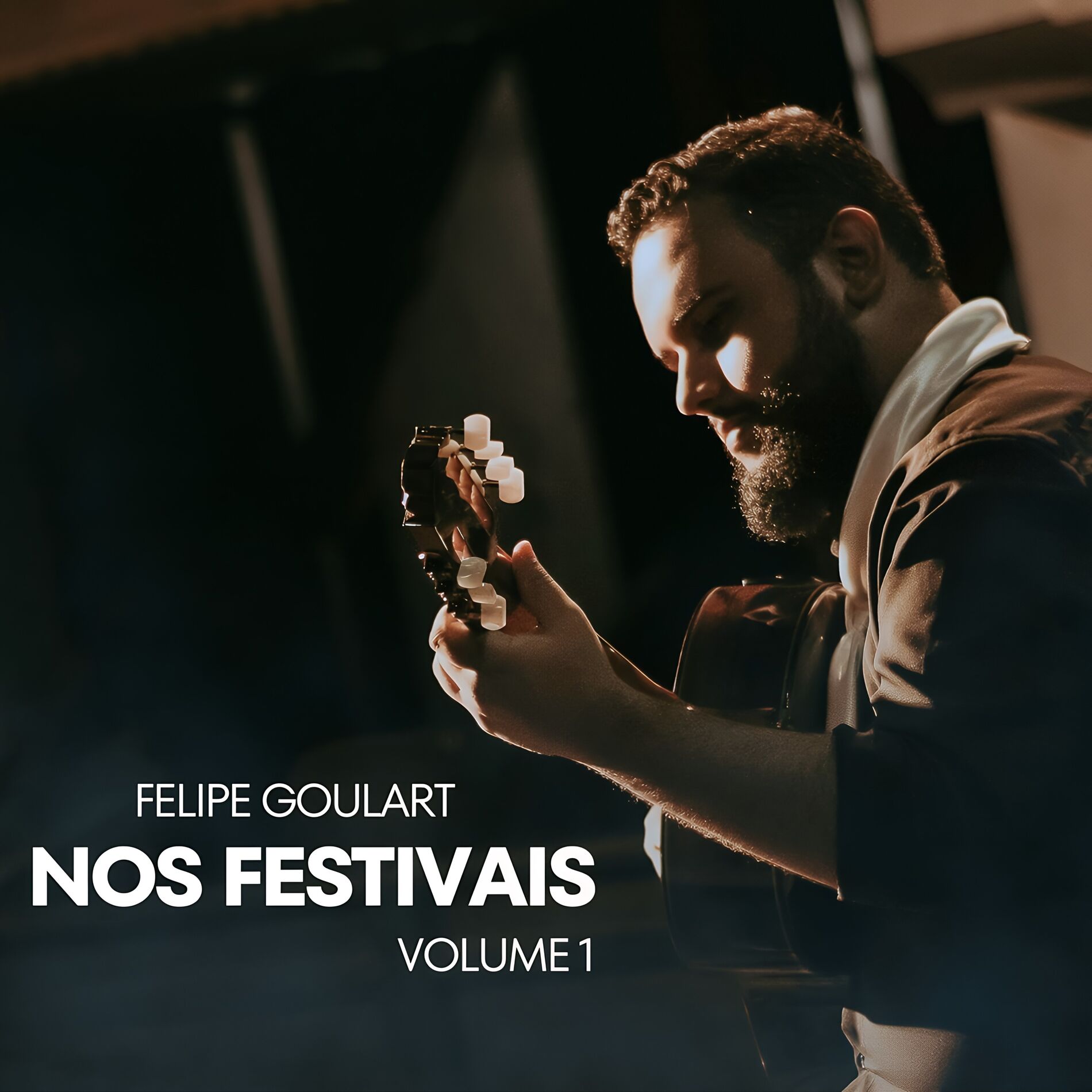 Album cover of Nos Festivais, Vol. 1 (Studio)