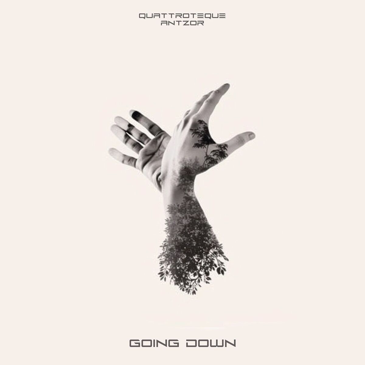 Album cover of Going Down