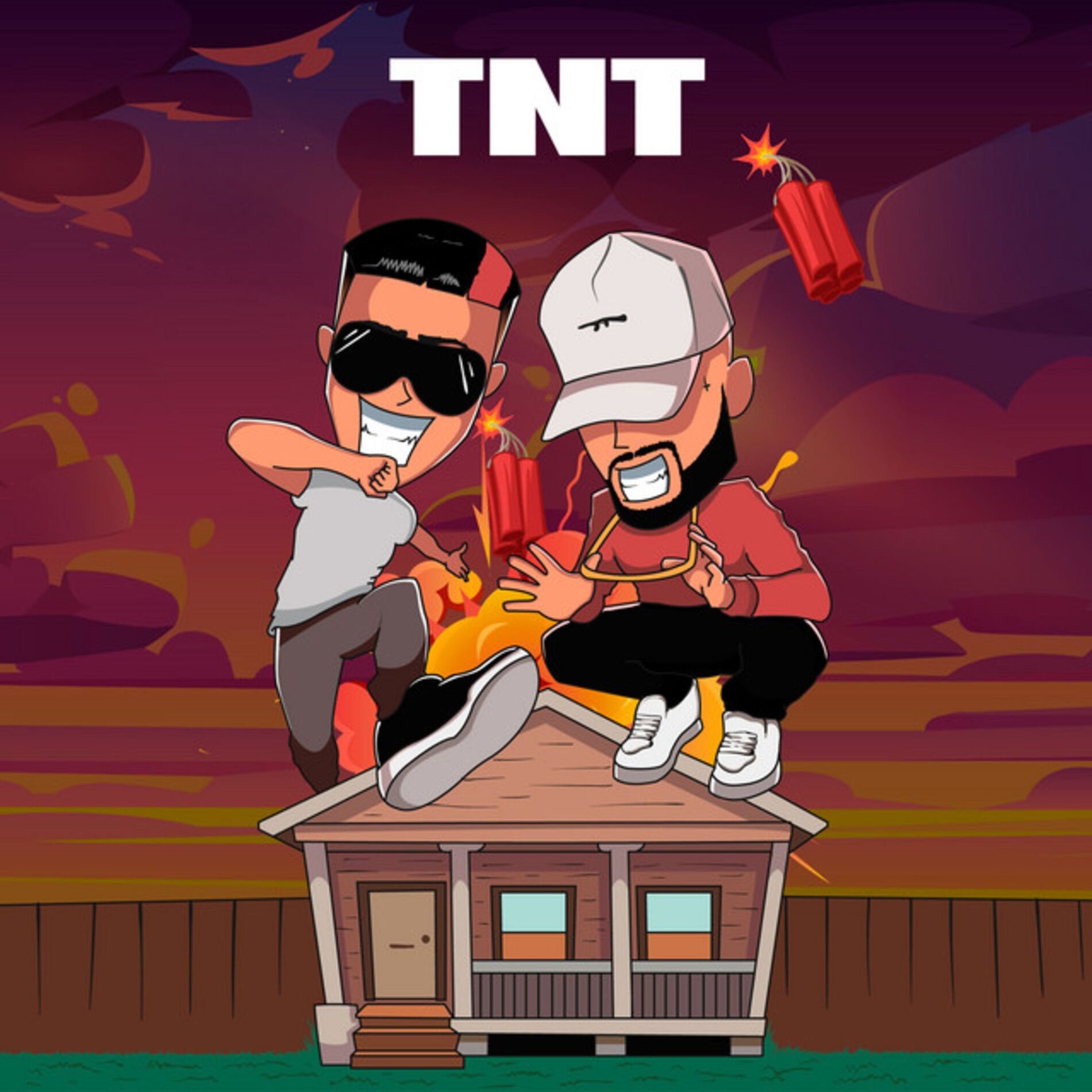 Album cover of TNT
