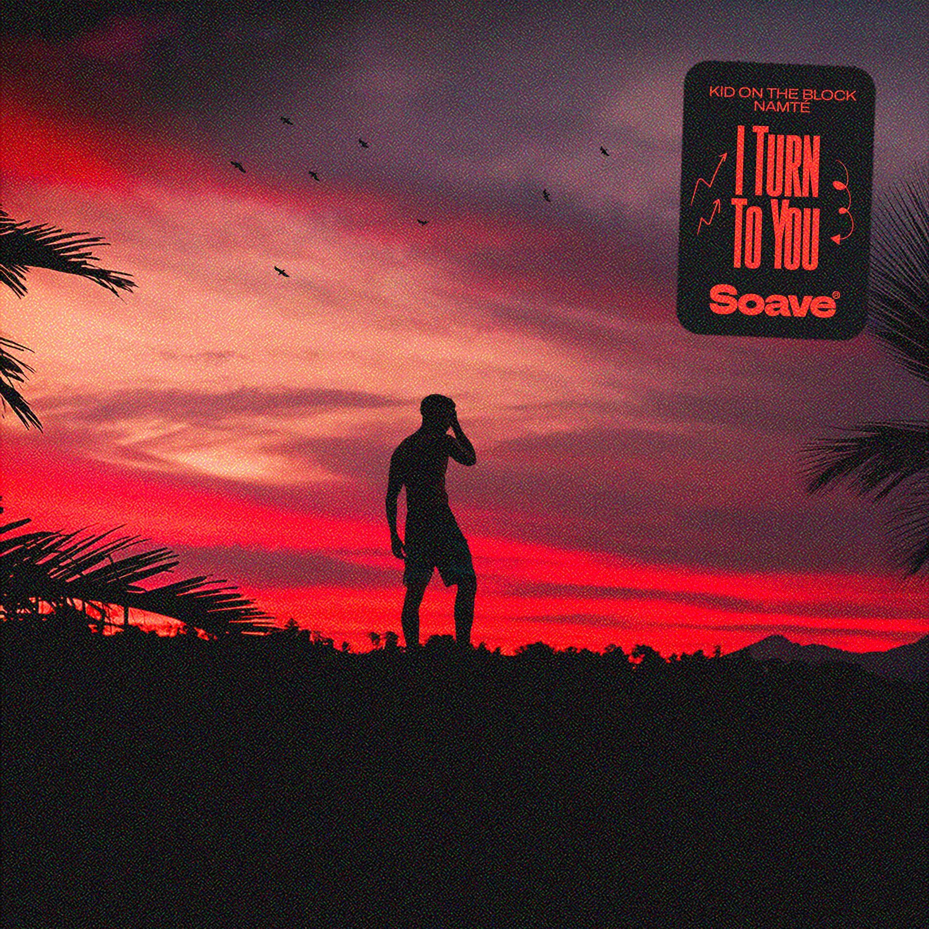 Album cover of I Turn to You