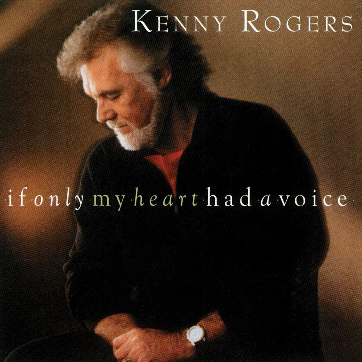 Album cover of If Only My Heart Had a Voice