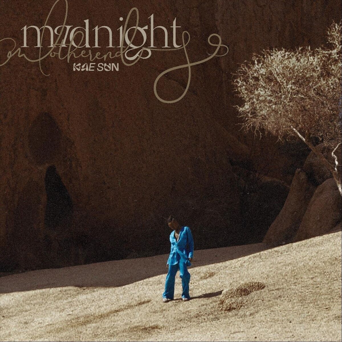 Album cover of Midnight and Other Endings